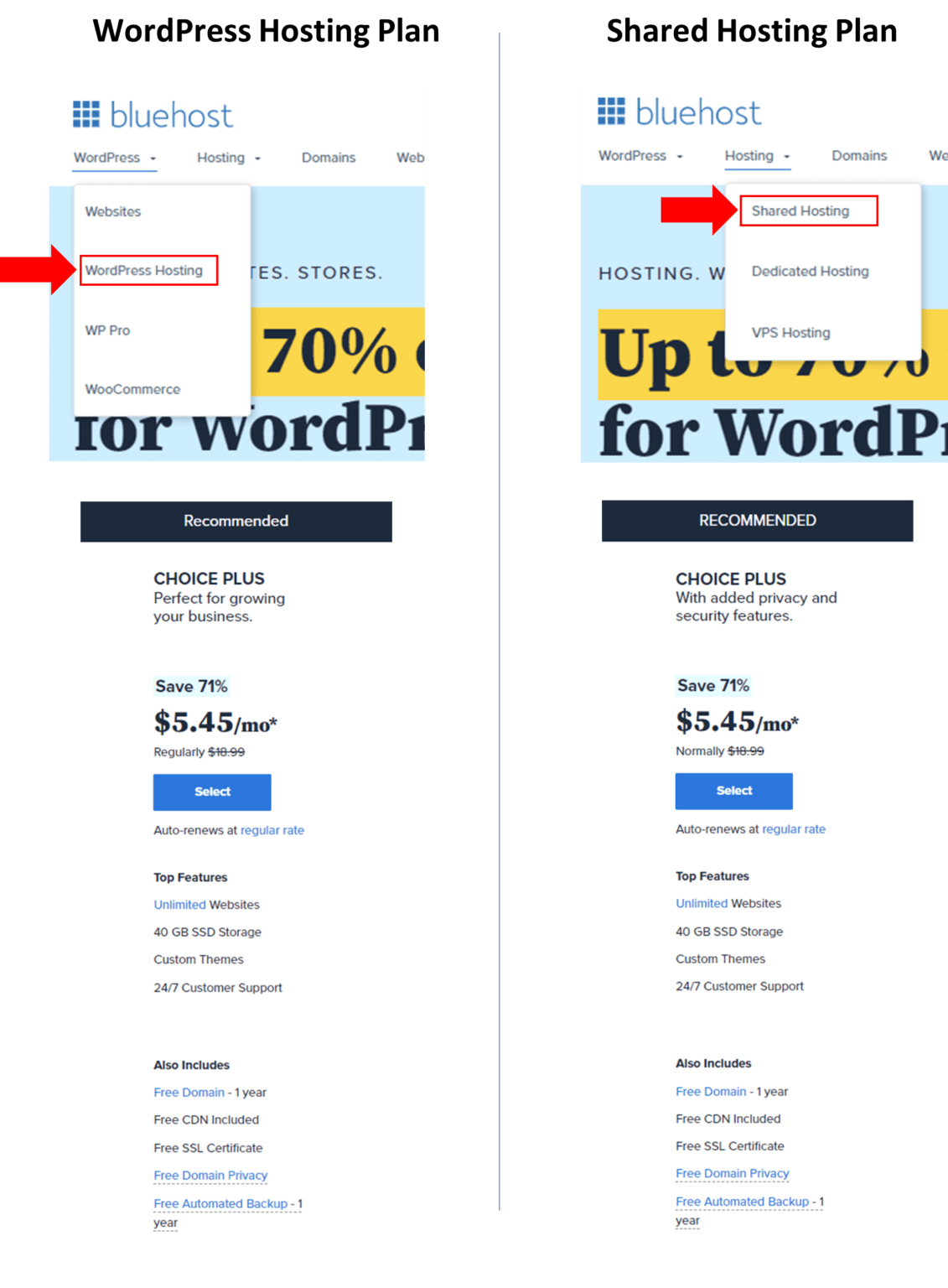 Bluehost Web Hosting Review Everything You Need to Know Before You(01)