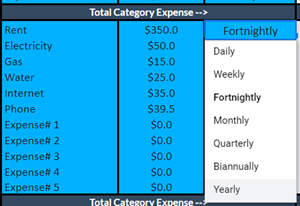 Expense Tracker Expense Period Options