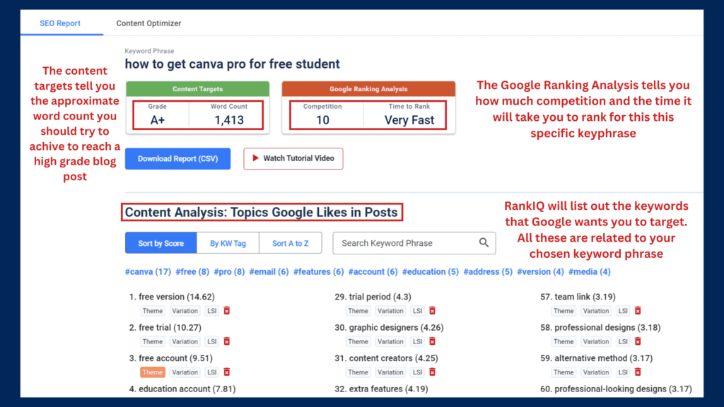 RankIQ SEO Report Interface showing Content Targets, Google Ranking Analysis, and Content Analysis sections.